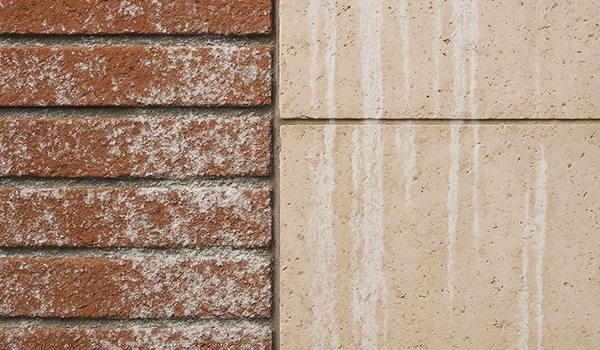 شوره چیست و چرا روی نما ظاهر می‌شود؟